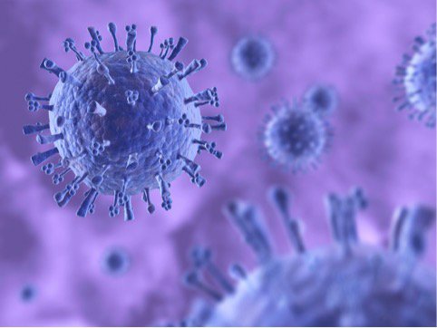 Virus H1N1 responsabile dell’influenza 2015